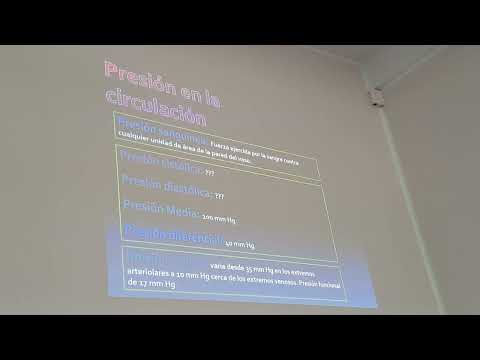 Clase 8 Fisiología, circulatorio. 13/06/23 parte 1.