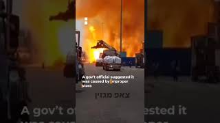 הן עם כלביא יקום - מקבץ צילומים
