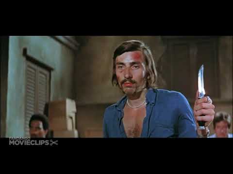 Bruce Lee Versus Antifa And Black Lives Matter Thugs