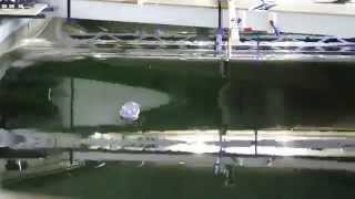 Wave tank experiment: Freak Wave Peregrine crashes into ship