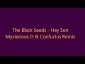 The Black Seeds - Hey Son (Mysterious D & Confucius Remix)