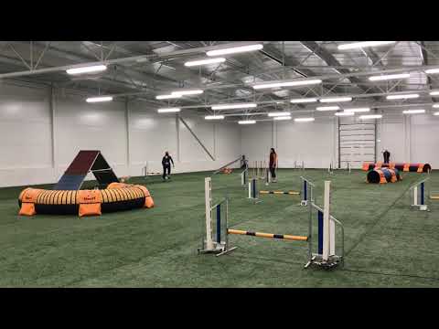 13.01.18 Vastse-Kuuste A1 Ronja