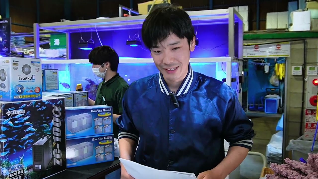 ペットバルーン創業30周年大感謝セール！！淡水魚コーナーの入荷魚紹介！！