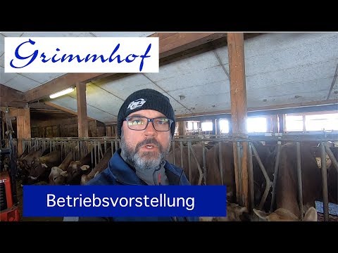 download lagu mp3 mp4 Martin Grimm, download lagu Martin Grimm gratis, unduh video klip Martin Grimm