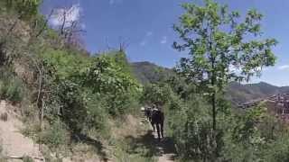 preview picture of video 'Trekking con asino - Longobucco Sila'