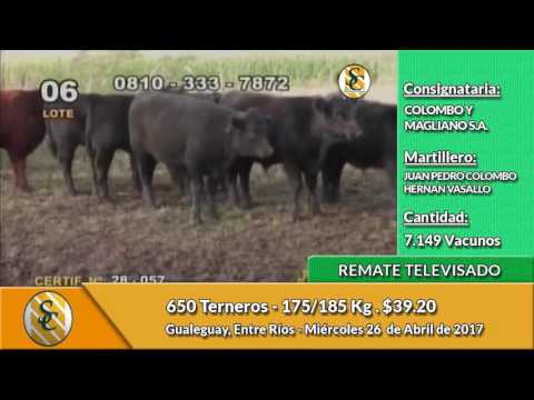 26-04-17 -  Ventas del Remate Televisado de Colombo y Magliano - Entre Ríos