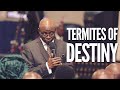 The Termites of Destiny | Pastor 'Tunde Bakare