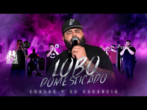 Chacho y Su Vagancia - Lobo Domesticado [En Vivo]