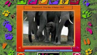 Kid's Zoo A Baby Animal Adventure Elephant Teamwork