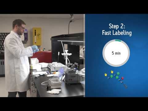 GlycoWorks RapiFluor-MS N-Glycan Kit