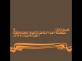 STEREOLAB – 04 Blips Drips And Strips