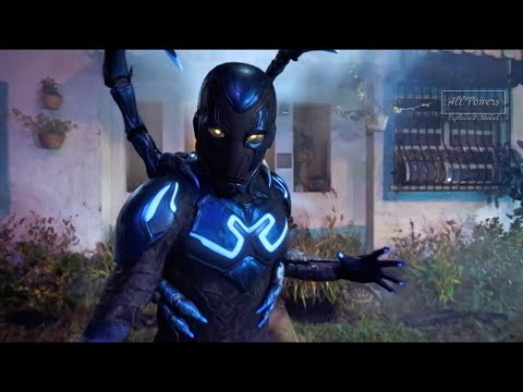 black beetle and blue beetle fighting