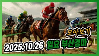 2025년 10월 26일 일요 부산경마 전체경주 모아보기
