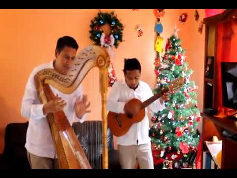 Zeferino Arpa y Son "jarabe loco"