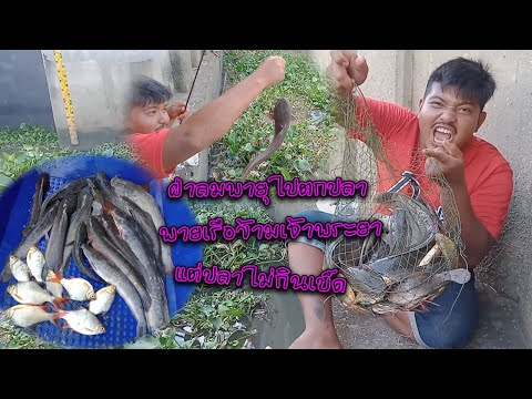 SFC 79: ออกแม่น้ำอีกครั้งหลังจากเขื่อนปิด (แม่น้ำจ๋า ผมมาแล้ว)