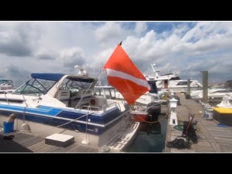 Quick Dive in Winthrop, MA - Atlantis Marina