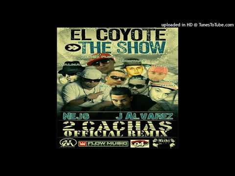 J Alvarez, Ñejo & Dalmata, Ñengo Flow, LuiG 21 Plus, Guelo Star - 2 Cachas (Official Remix) (2009)