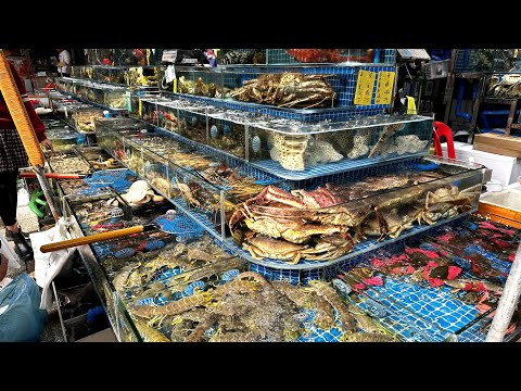 China's Largest Seafood Market Huangsha: Guangzhou Food Guide Part 07 广州黄沙海鲜街