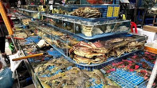 China's Largest Seafood Market Huangsha: Guangzhou Food Guide Part 07 