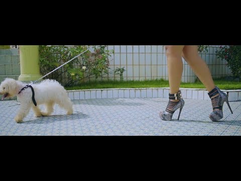 Featurist - Tu es Kindah (Official video)