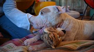 Miguel Learns to Play