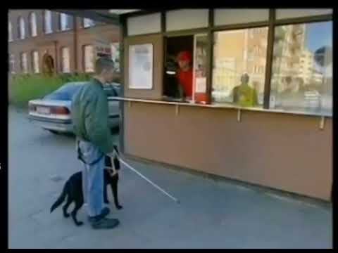 vi säljer bara korv här kebab vagnen ligger ditåt