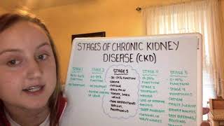 Concept Analysis: Chronic Kidney Disease
