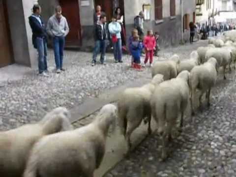 Festa della Transumanza 2012 a Novalesa