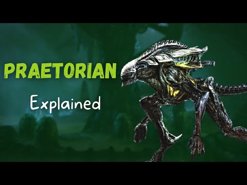 Praetorian Xenomorph - Explained (Alien Lore)