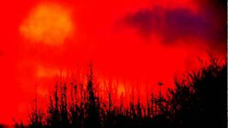 Pete Bardens Sometimes.avi