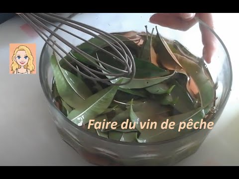 Vin de pêche fait maison (feuilles) 🍷💖