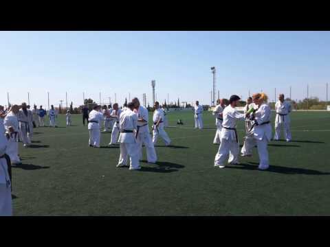 Estrellas del Karate kyokushin en el exámen de Nidan de IKO Spain