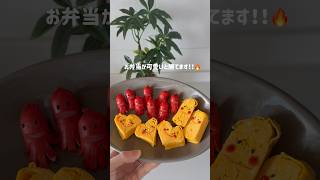 お花見・ピクニックのお弁当に🌸簡単で可愛いお弁当おかず🐝🍱