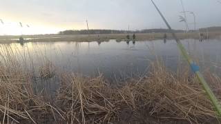 Рыбалка в омской области надеждино