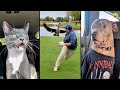 Funny ANIMALS videos 😂 Funniest CATS🐈 and DOGS🐕 2026 DEFAULT Thumbnail