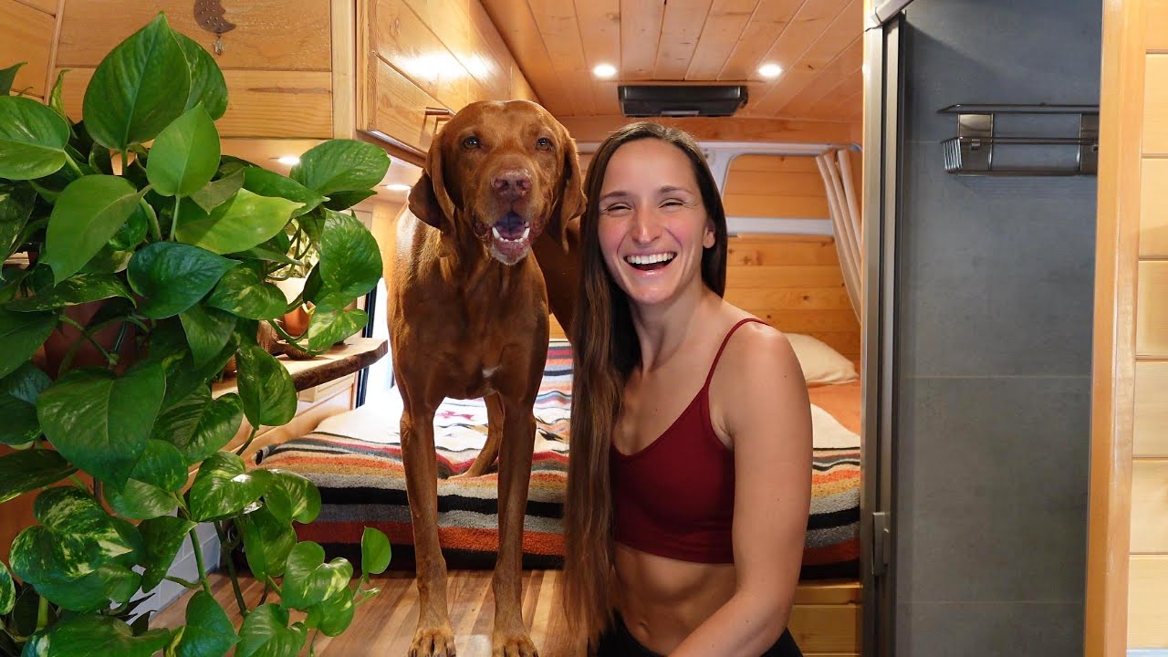 Van Life with a Dog | Tips, Training & Must Haves! 🚐 🐕