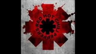 Red Hot Chili Peppers - Animal Bar