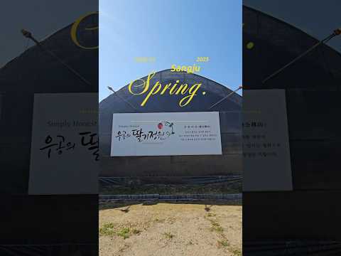 상주에서 체험할 수 있는 딸기 정원을 소개합니다! #상주시 #경북가볼만한곳 #경북여행 #상주가볼만한곳 #상주여행 #상주