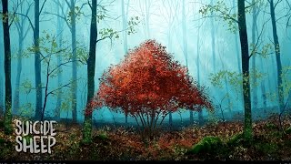 CloZee - Red Forest