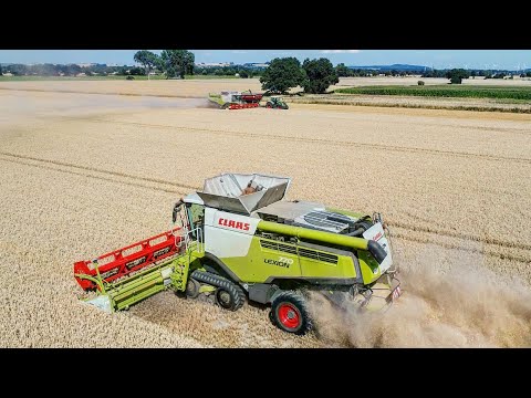 Claas Lexion 770 TT & Claas Lexion 760 in der Getreideernte XXL //4K//