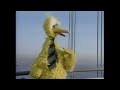 What A Bird
