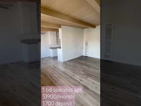 00077-1246 - Video 2 of 2