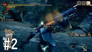 【MHRise】ガンランスでガンガン行った結果【タマミツネ討伐】