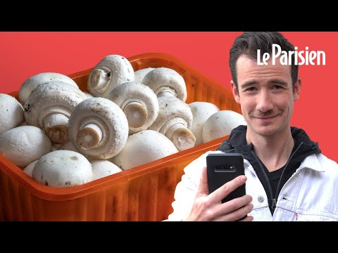 Pourquoi les champignons de Paris viennent-ils de Pologne ?