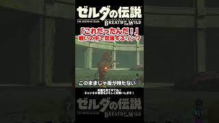 まだ勝てないと思ってたライネルの倒し方が分かった瞬間【ゼルダの伝説ブレスオブザワイルド】#ブレワイ＃ゲーム実況