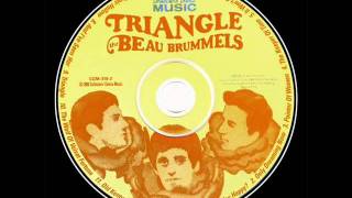 The Beau Brummels - Nine pound hammer