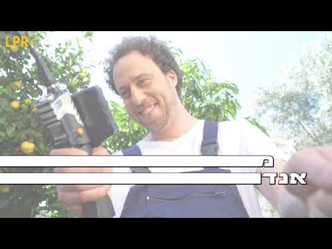 תמונה של أرز روبين