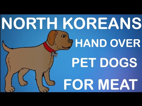 Pet Dogs Used As Meat : Kim Jong-Un Orders North Koreans To Hand Over Pet Dogs - To Be Used As Meat