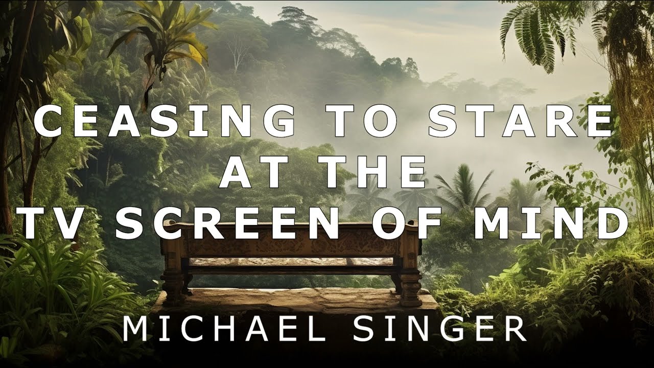 Michael Singer - Ceasing to Stare at the TV Screen of Mind