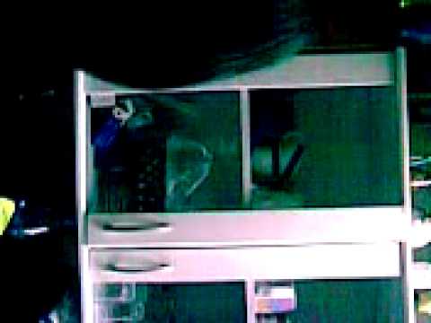 download lagu mp3 mp4 Xzxzxz, download lagu Xzxzxz gratis, unduh video klip Download Xzxzxz Mp3 dan Mp4 Unlimited Gratis